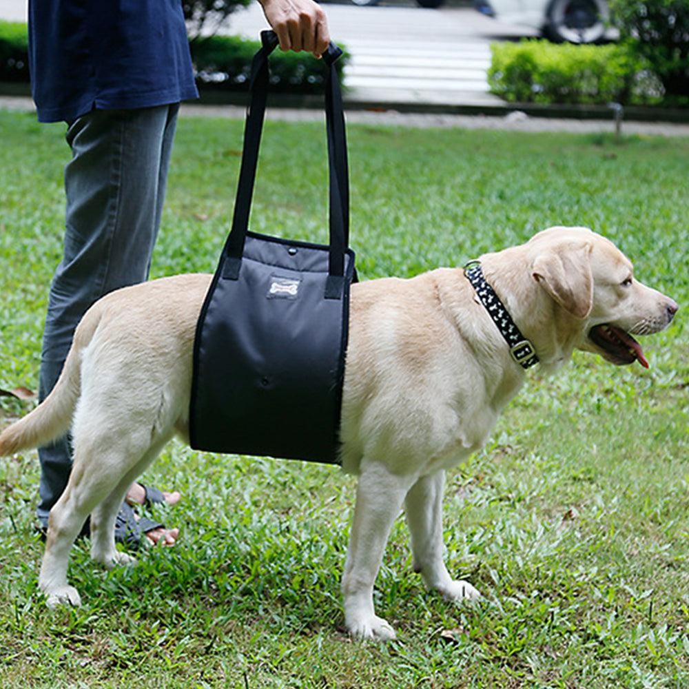 Pet Dog Support Harness Walking Support sling