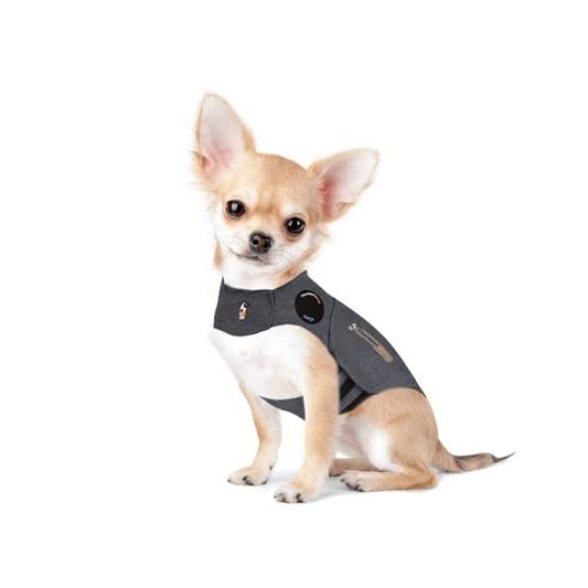 Thunder Vests and Ear Wraps: Helping Your Dog Feel Safer During Storms and Fireworks