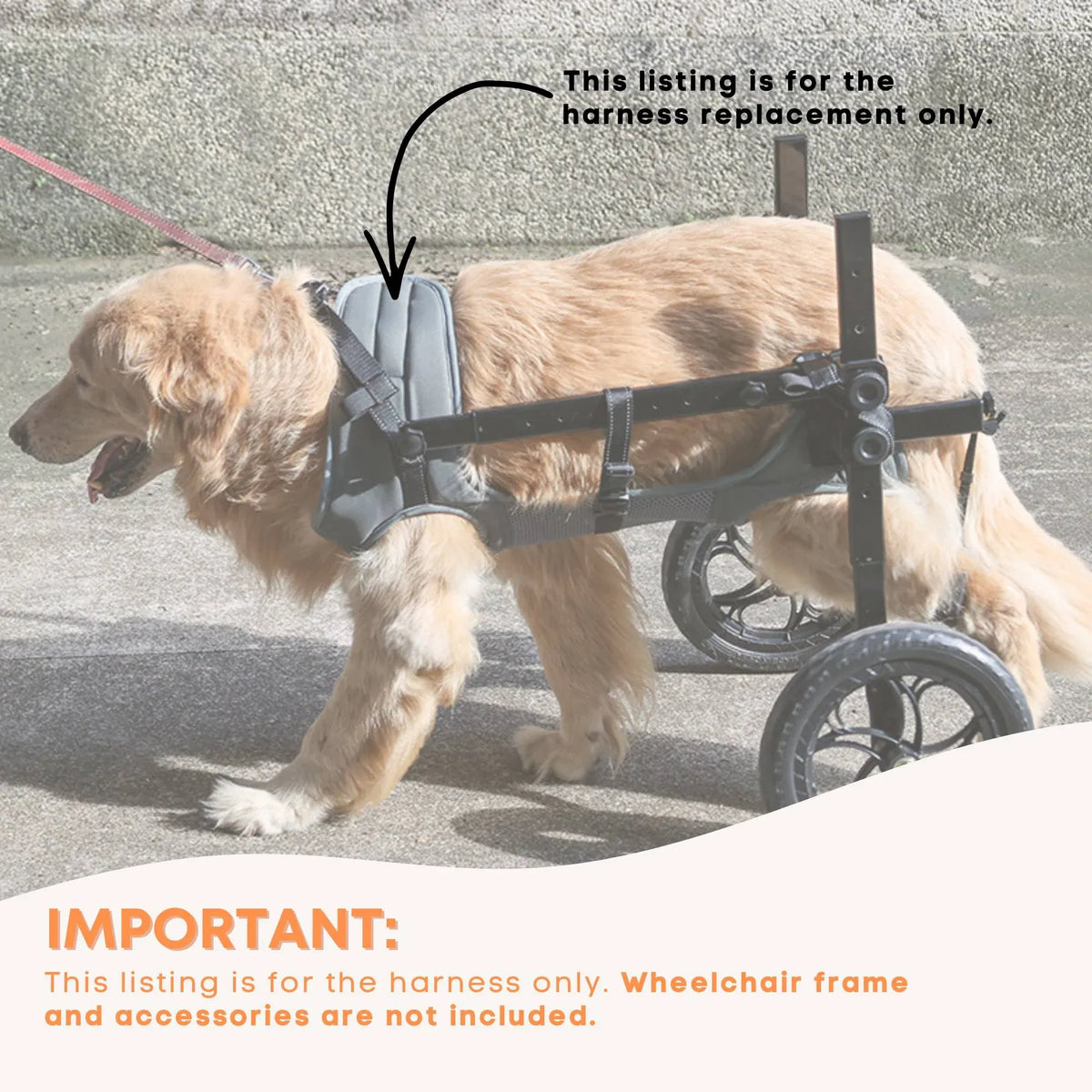 Dog in a wheelchair with text about harness replacement only.