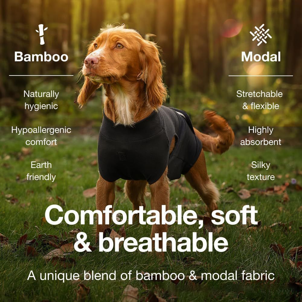 Dog wearing a black post surgery suit in a natural setting with text about bamboo and modal fabric properties.