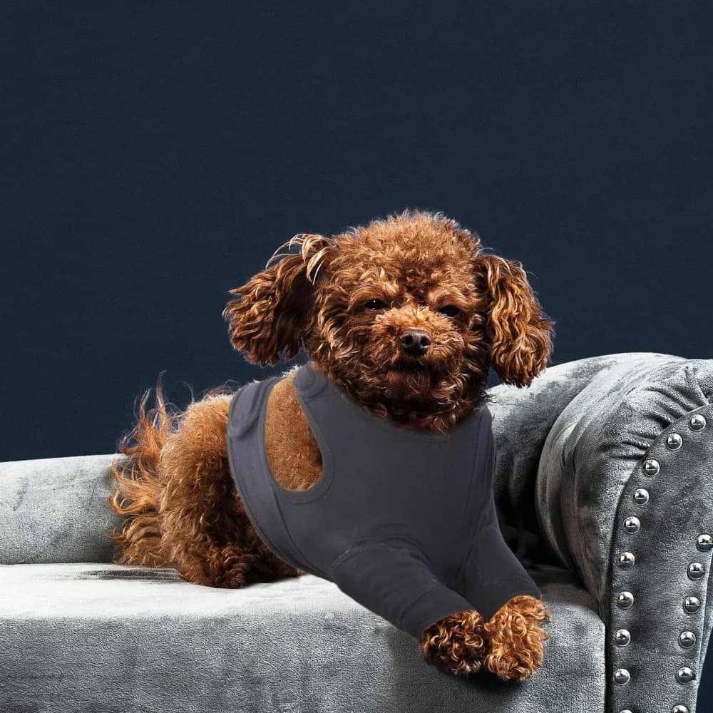 Dog Elastic Elbow Protection Post-Surgery Foreleg Protector