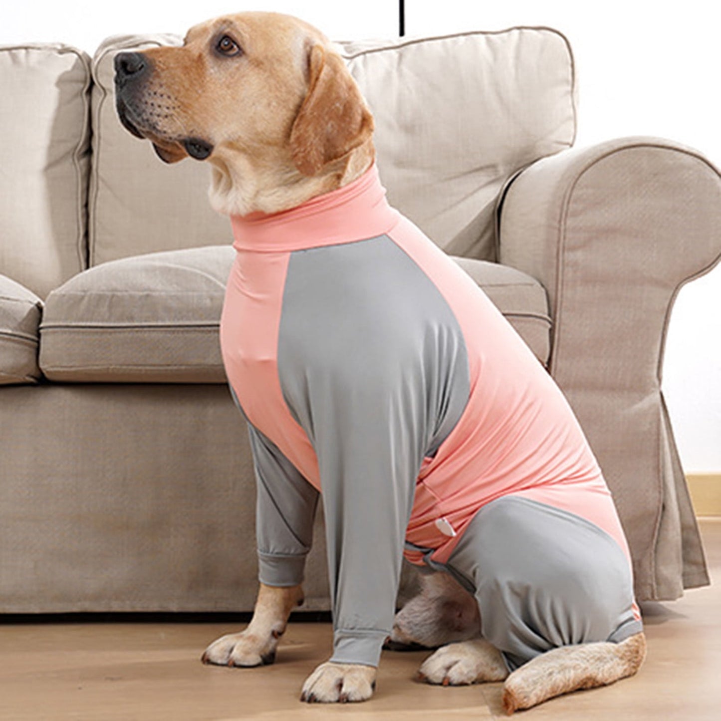 Dog Onesie Surgery Recovery Suit for Large Medium dogs