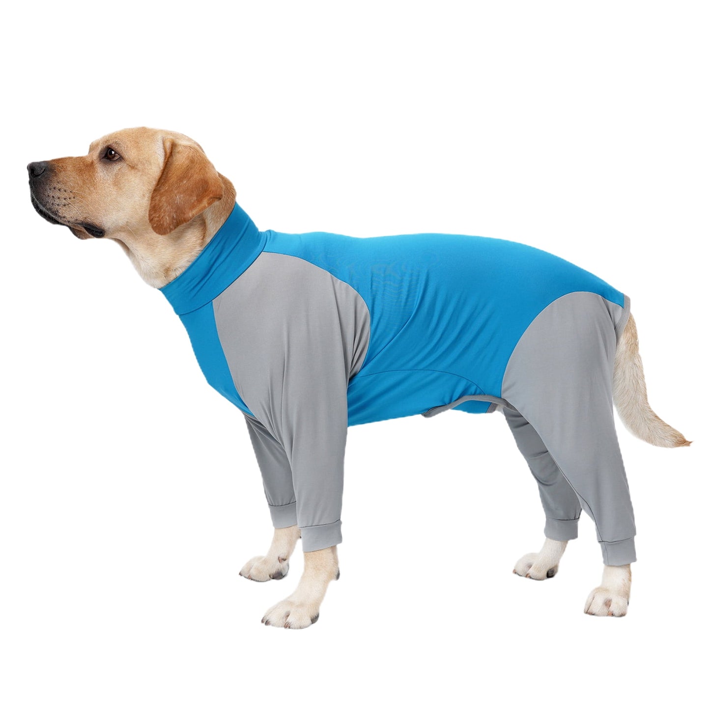 Dog Onesie Surgery Recovery Suit for Large Medium dogs