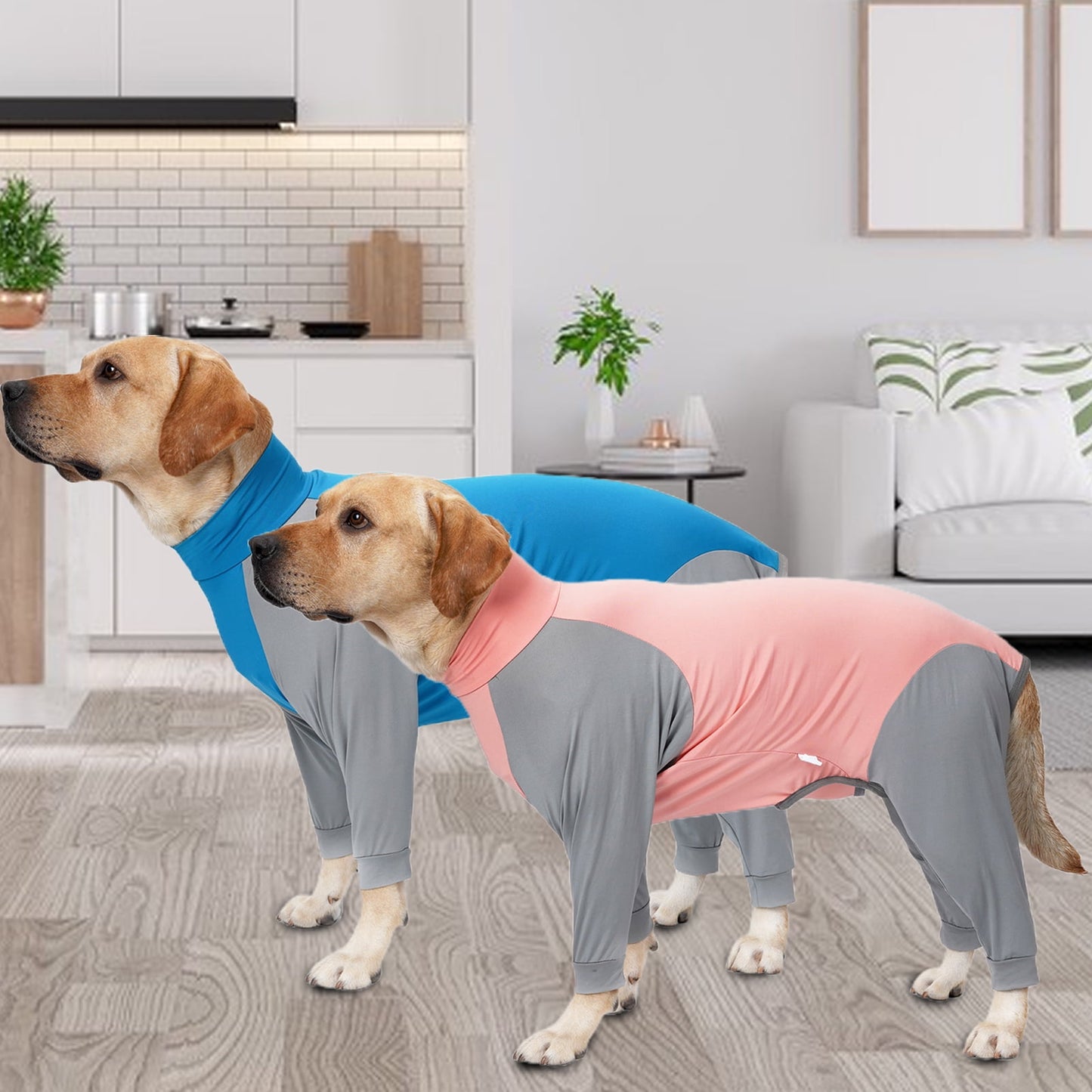 Dog Onesie Surgery Recovery Suit for Large Medium dogs