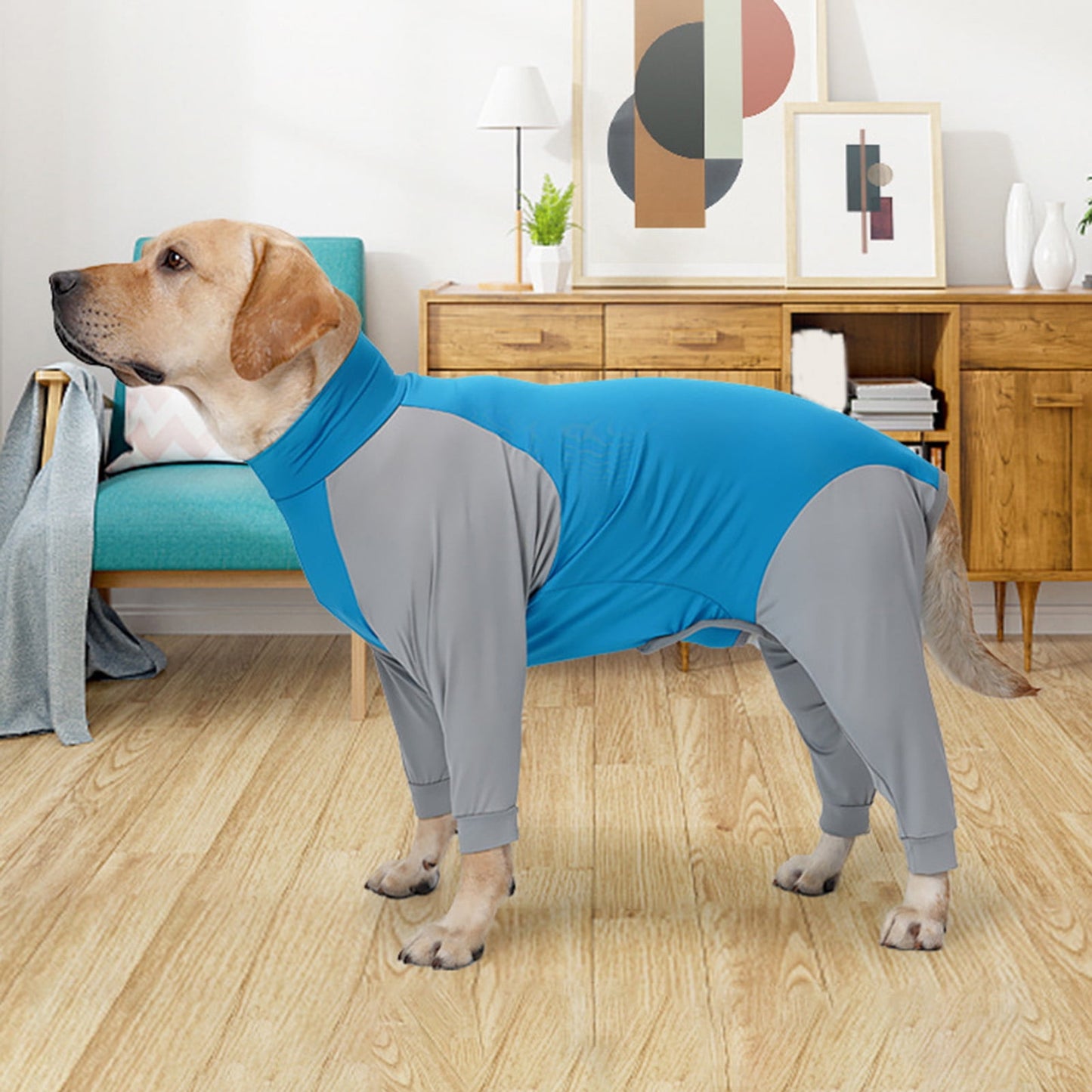 Dog Onesie Surgery Recovery Suit for Large Medium dogs