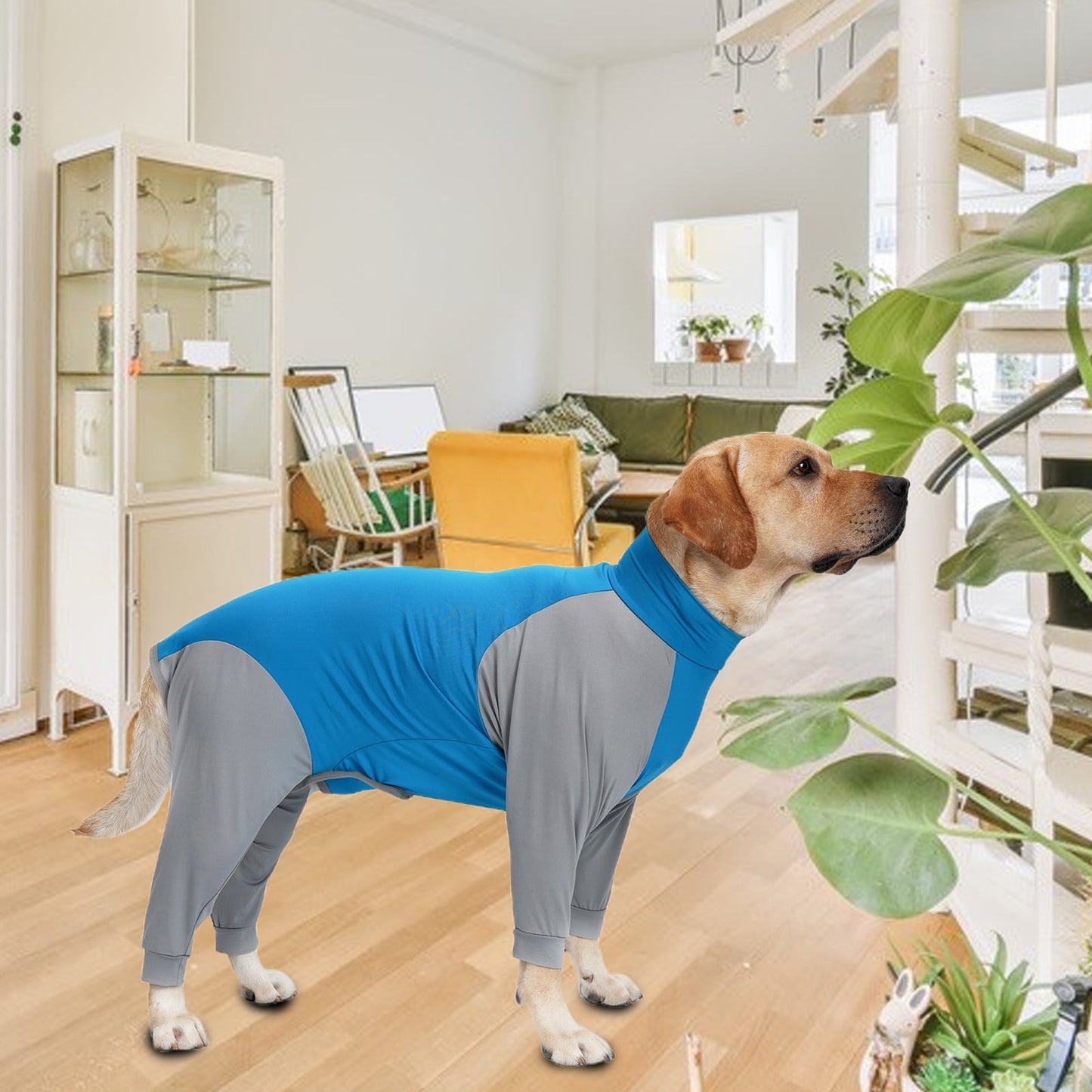 Dog Onesie Surgery Recovery Suit for Large Medium dogs