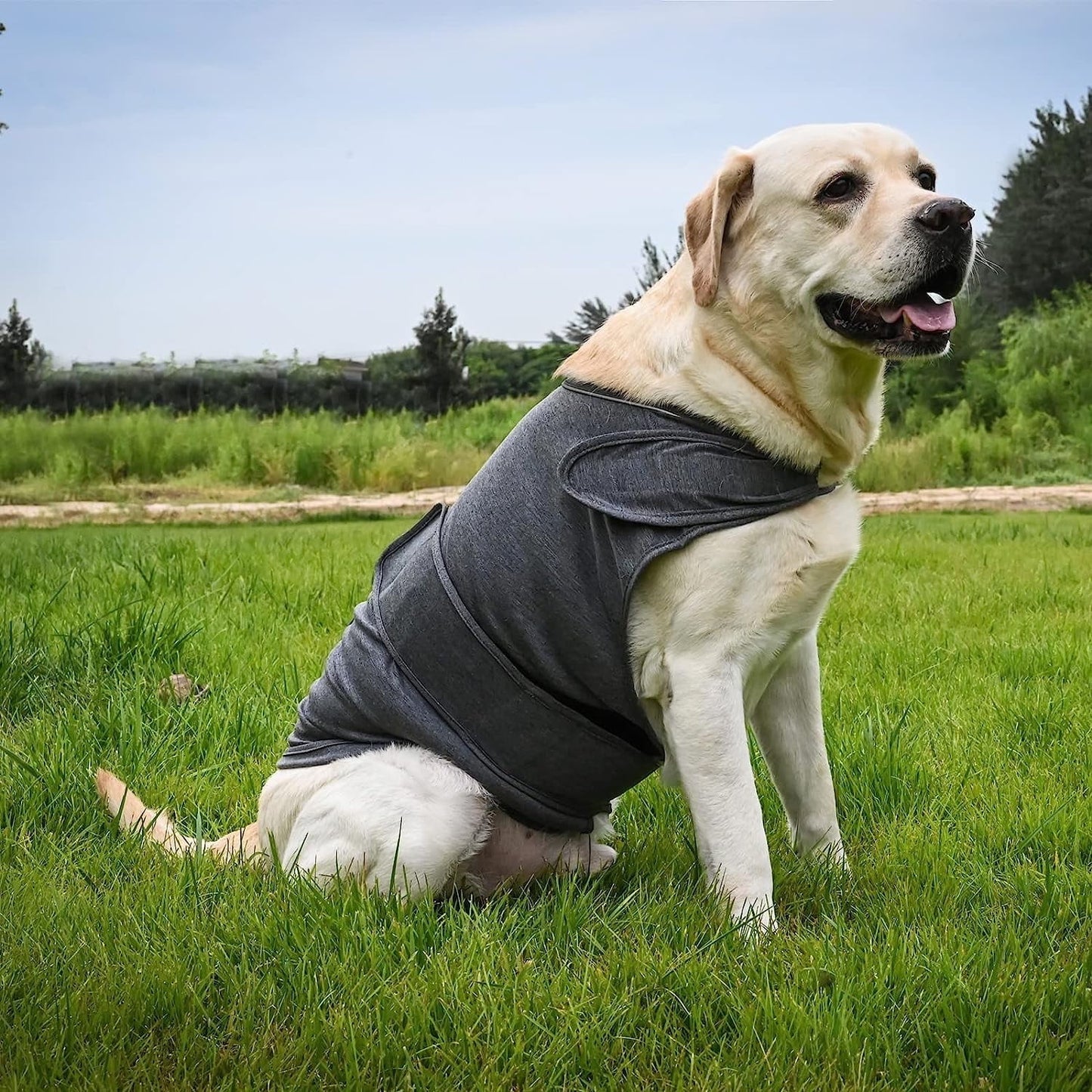 Dog Jacket, Skin-Friendly Dog Calming Vest - Dog Shirt for Thunder, Fireworks and