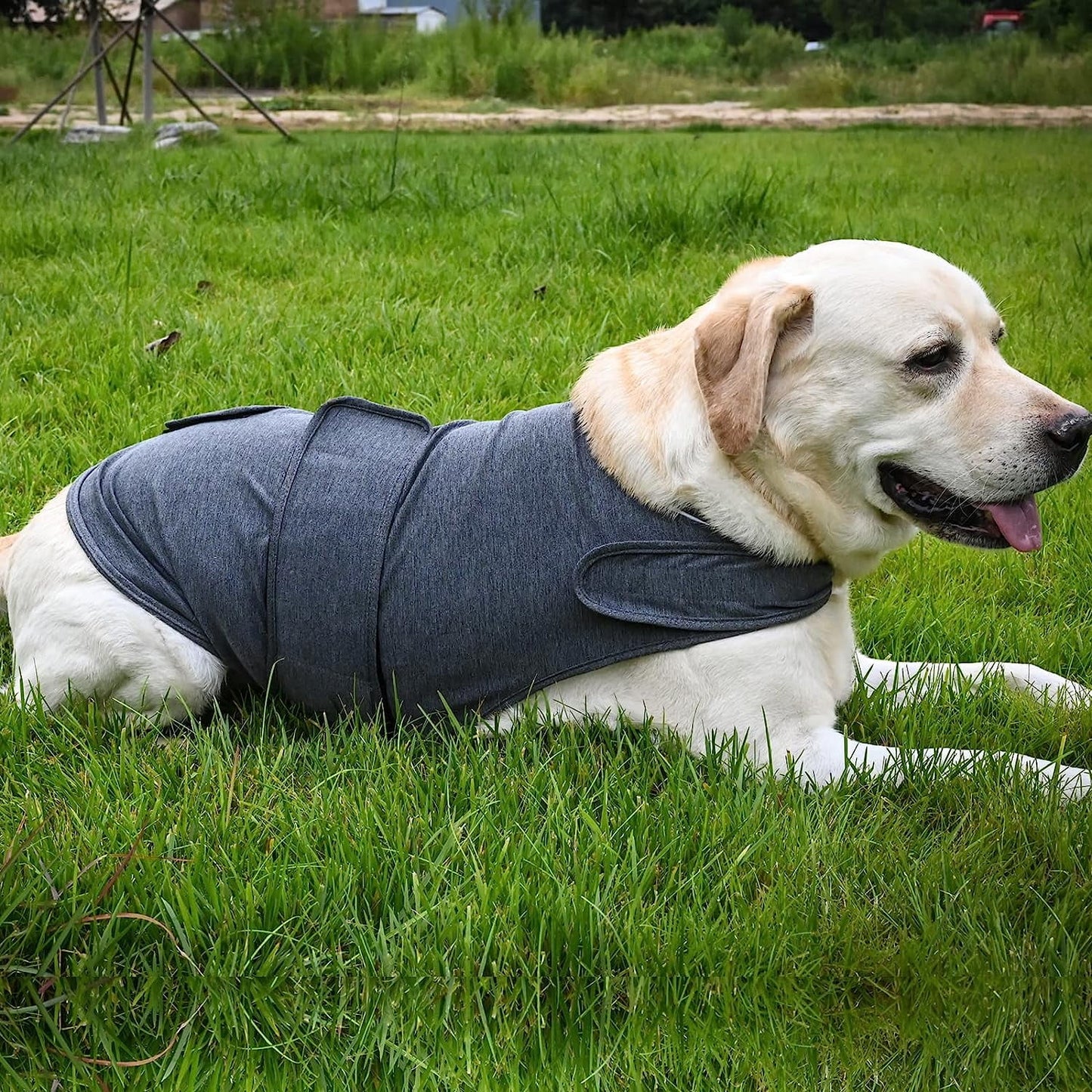 Dog Jacket, Skin-Friendly Dog Calming Vest - Dog Shirt for Thunder