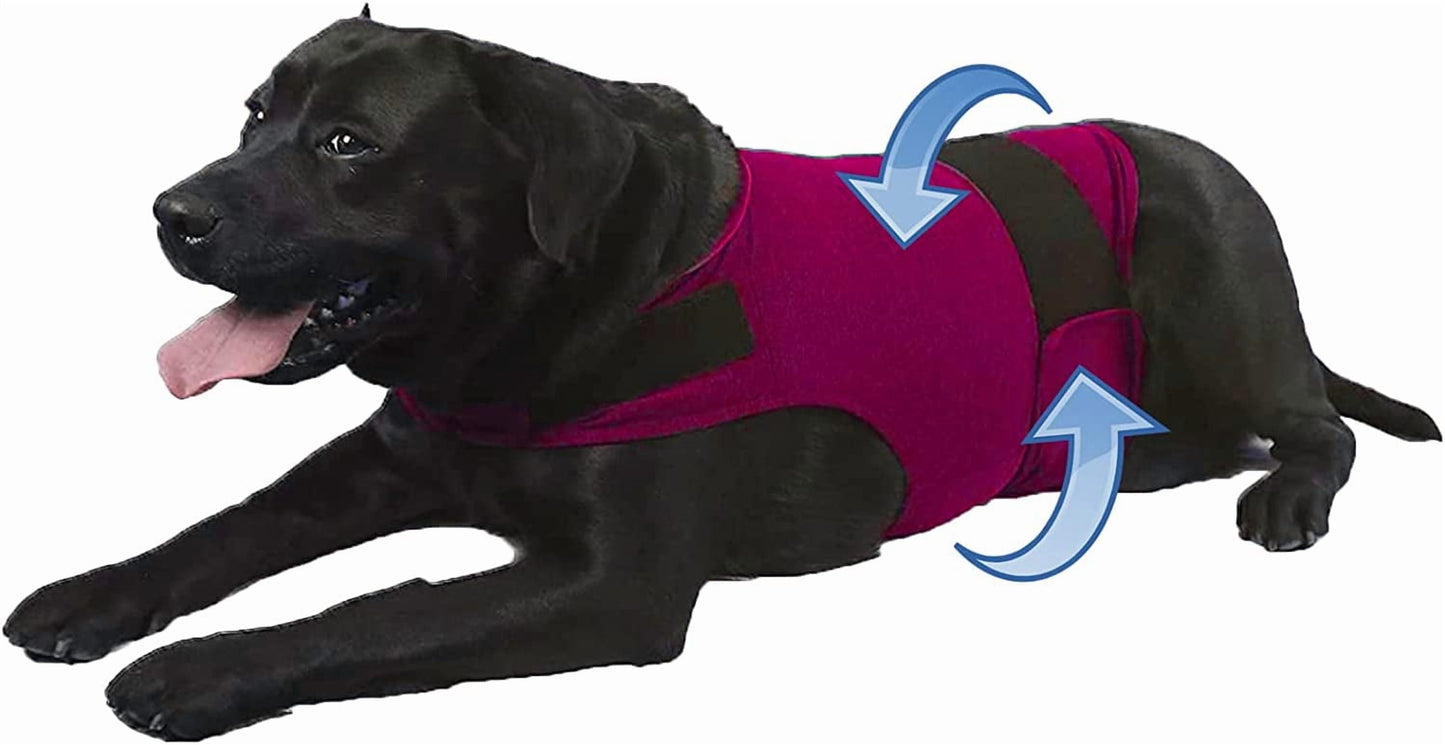 Dog Anxiety/Thunder Jacket, Skin-Friendly Dog Calming Vest