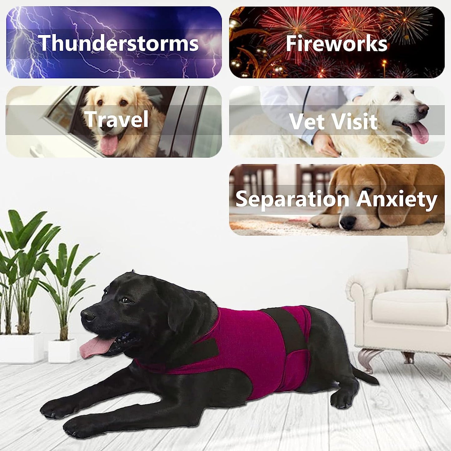 Dog Anxiety/Thunder Jacket, Skin-Friendly Dog Calming Vest
