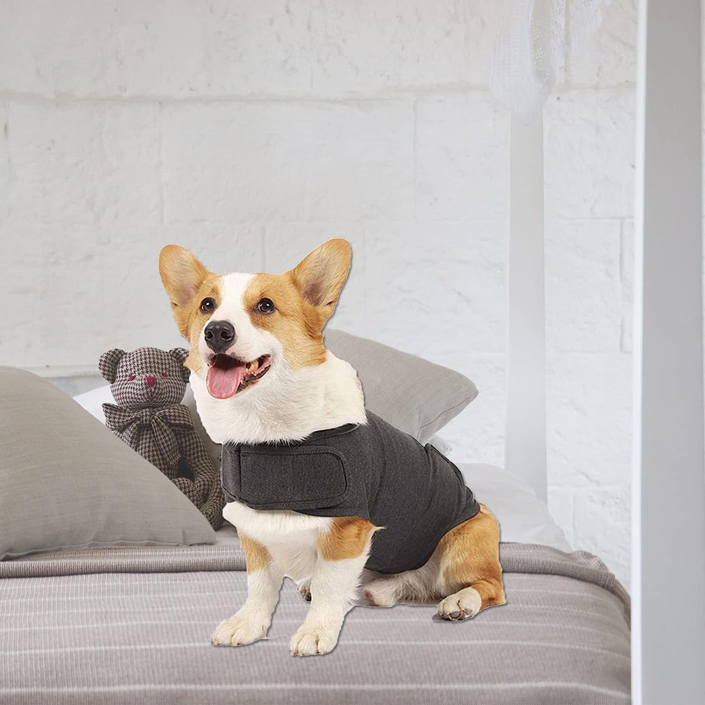 Dog Anxiety/Thunder Jacket, Skin-Friendly Dog Calming Vest