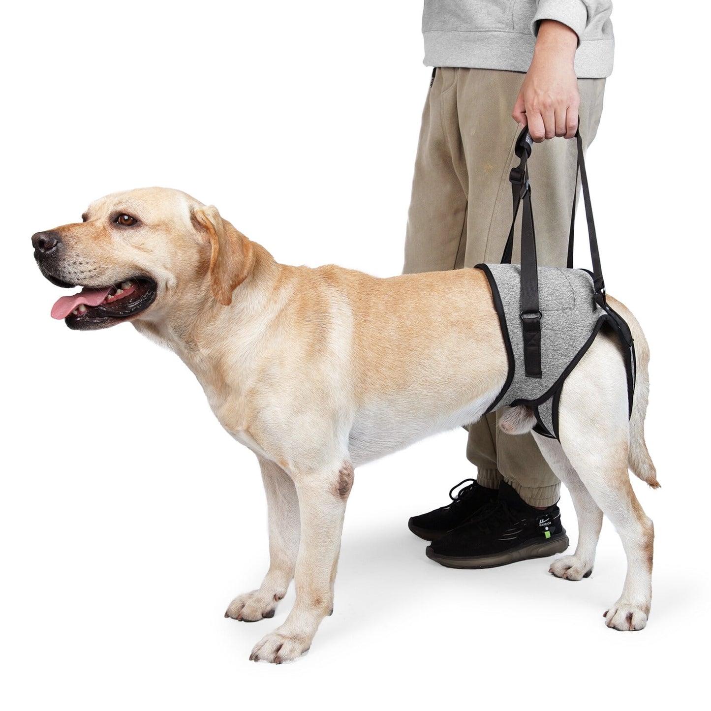 Dog Sling for Large Dogs Hind Leg Adjustable Dog Lift Harness