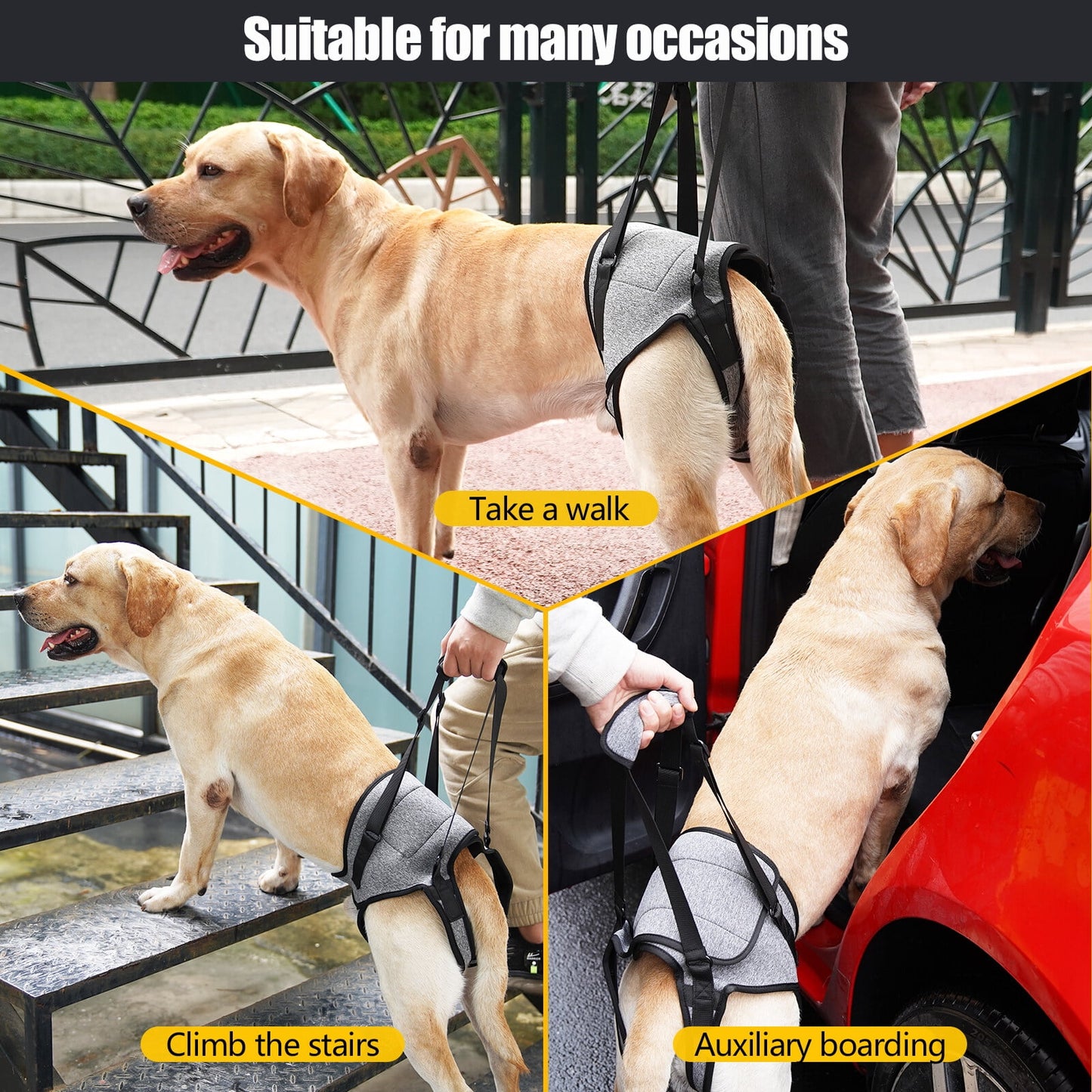 Dog Sling for Large Dogs Hind Leg Adjustable Dog Lift Harness