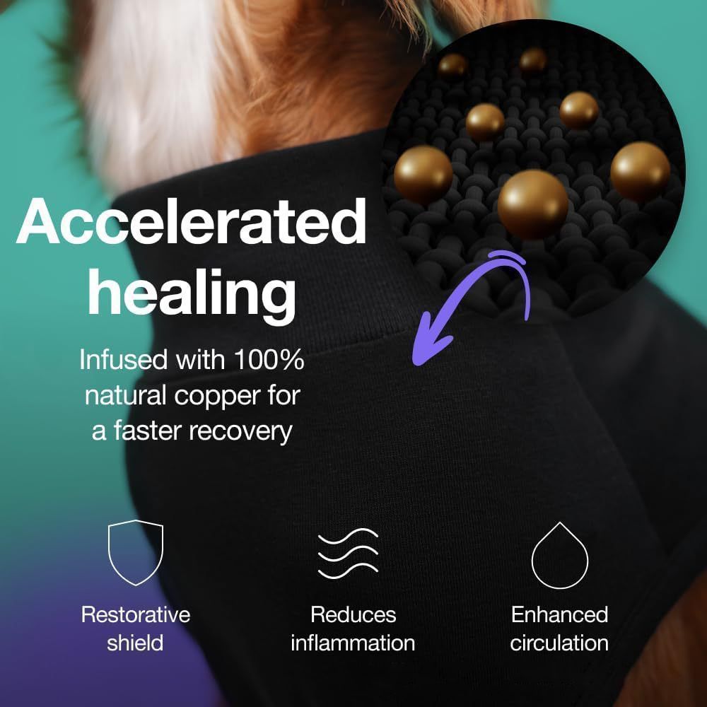 Pet physiological pants