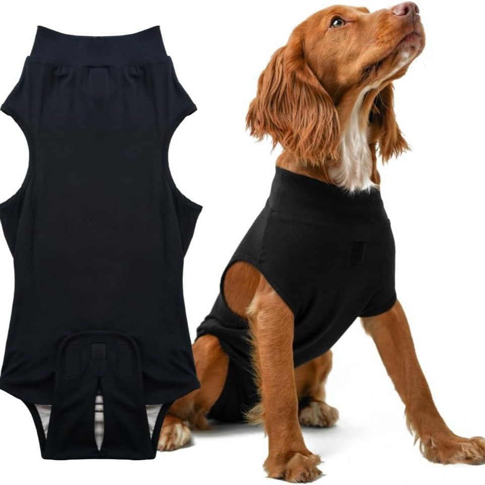 Pet physiological pants