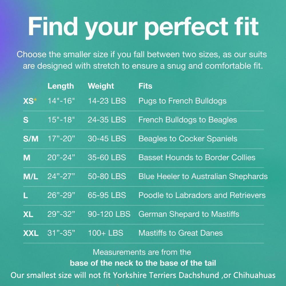 Pet physiological pants