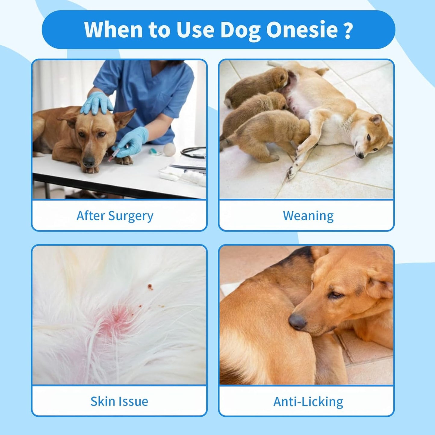 Breathable Dog Surgery Recovery Suit and Surgical Spay Onesie