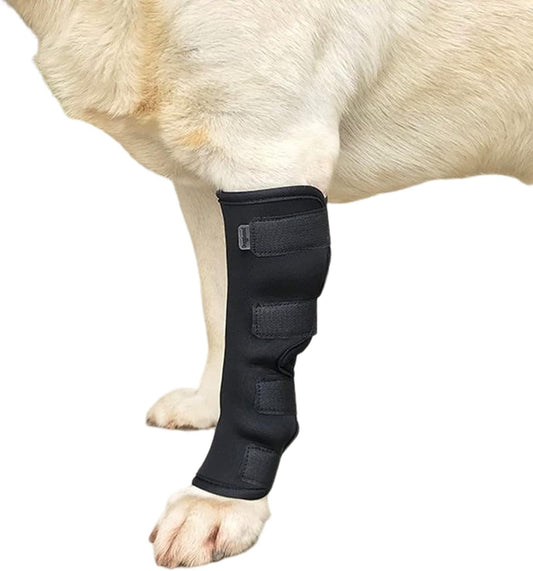 1Pc Canine Dog Hock Joint Support Brace