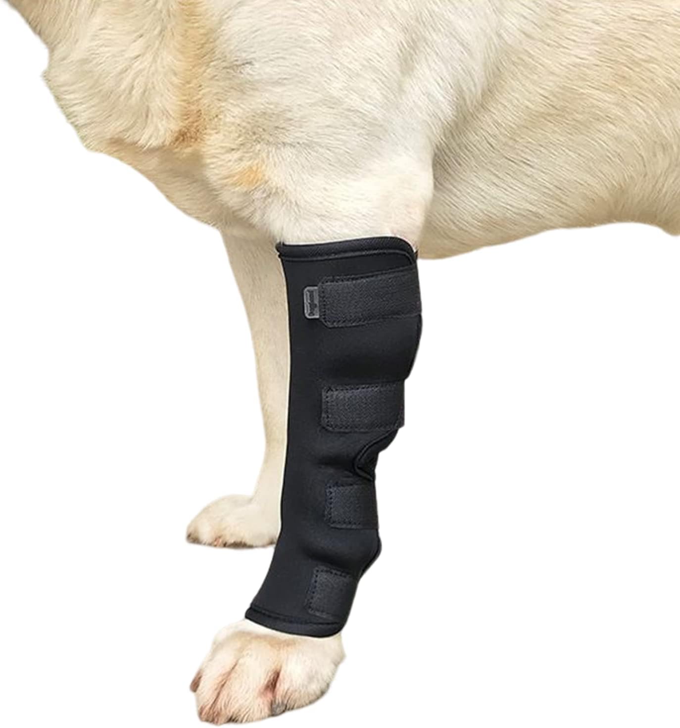 1Pc Canine Dog Hock Joint Support Brace