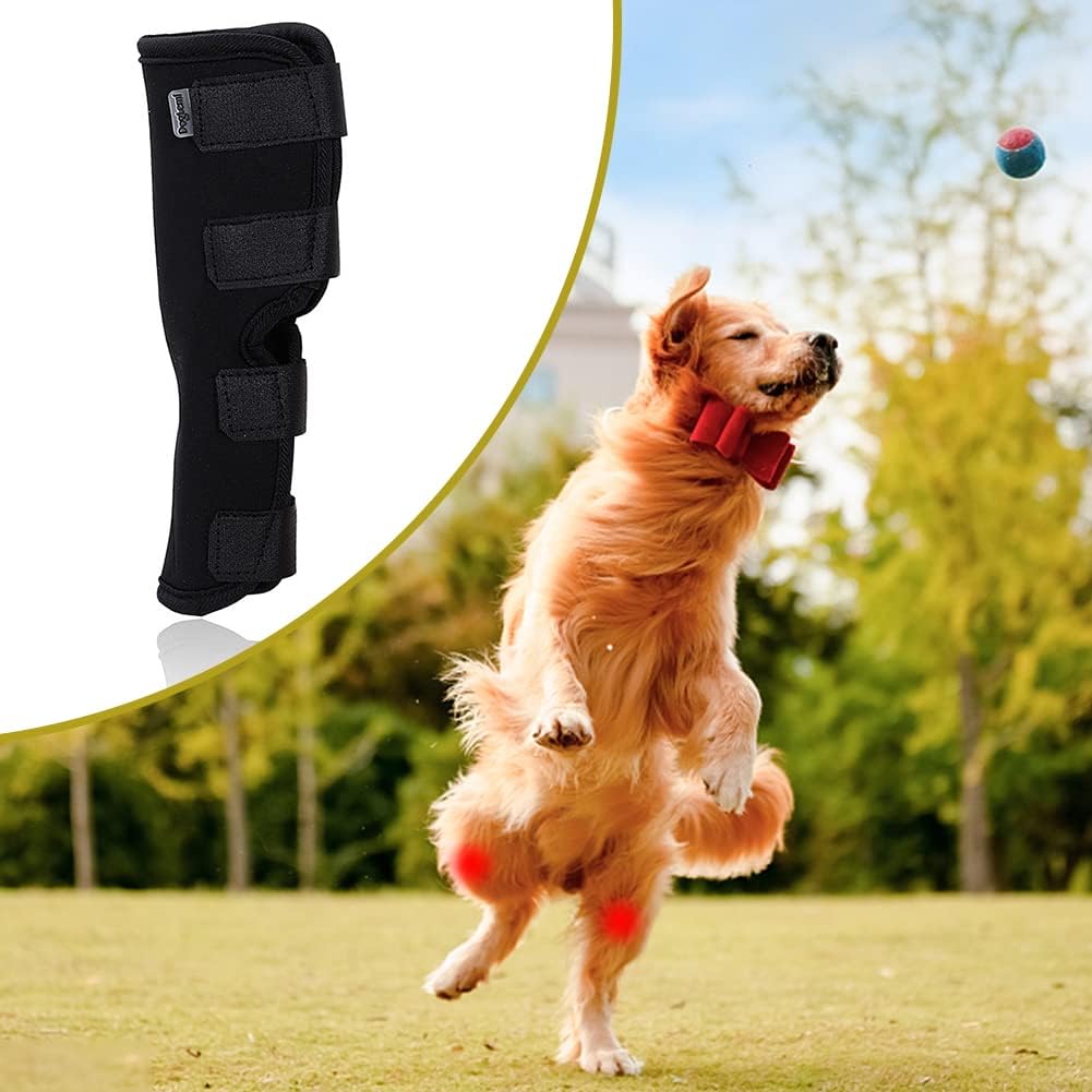 1Pc Canine Dog Hock Joint Support Brace