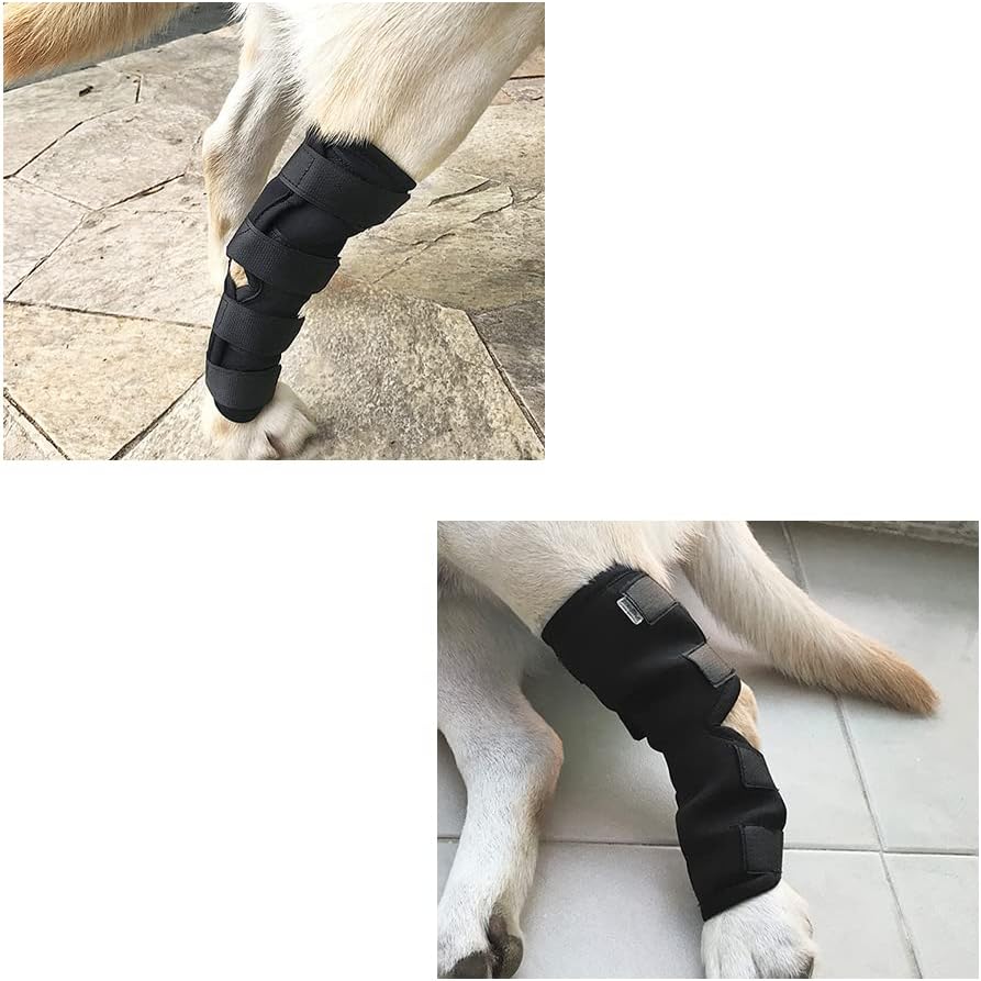 1Pc Canine Dog Hock Joint Support Brace