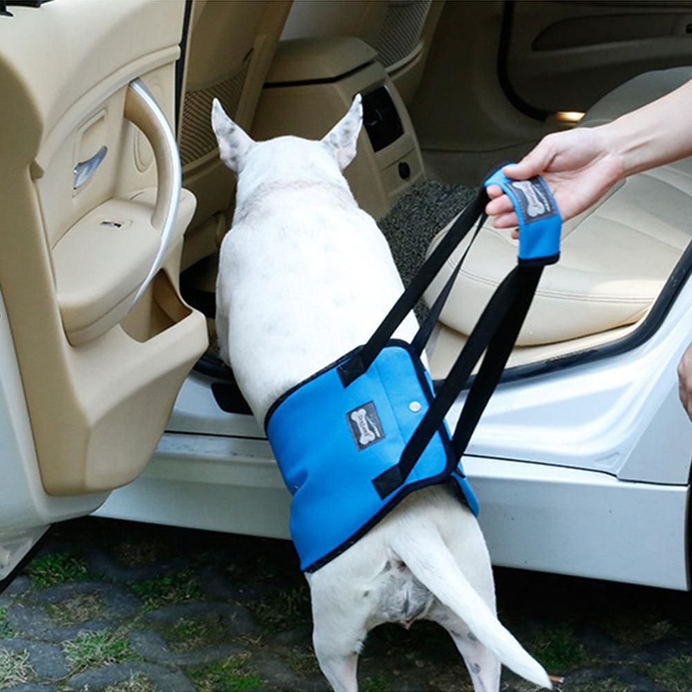 Pet Dog Support Harness Walking Support sling