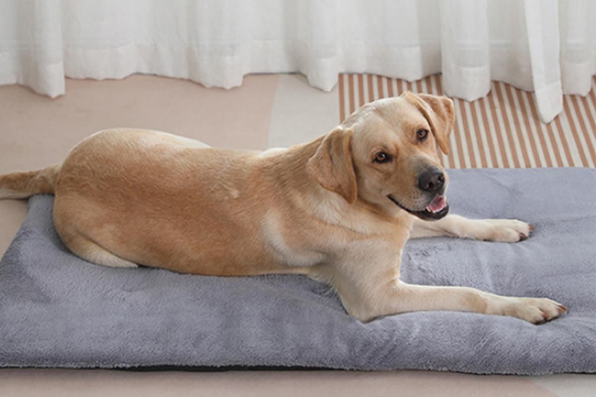 2Pcs Pet Blanket Self-Heating Bed Pad