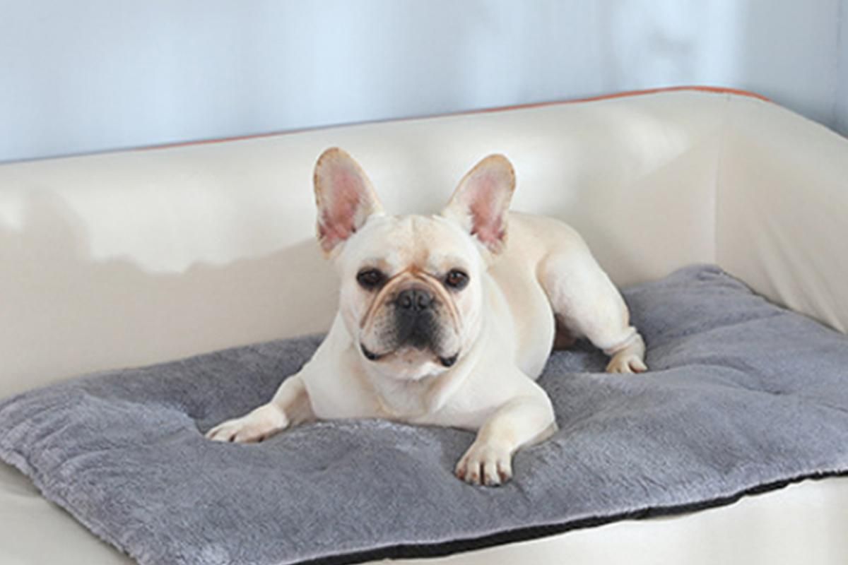 2Pcs Pet Blanket Self-Heating Bed Pad