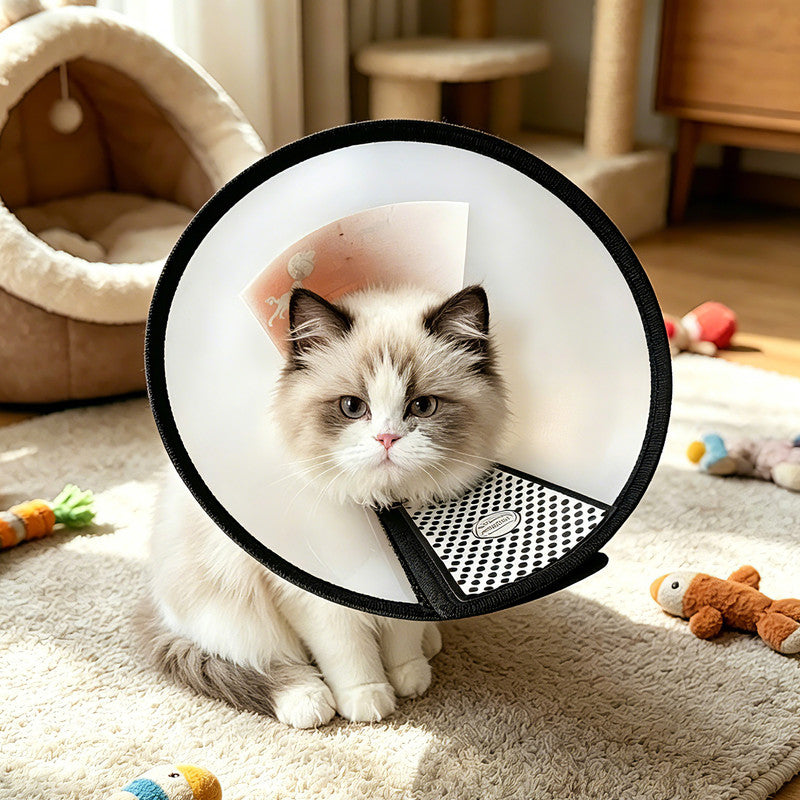 Classic Elizabethan Collar - Anti-Licking Collar