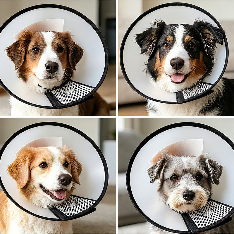 Classic Elizabethan Collar - Anti-Licking Collar