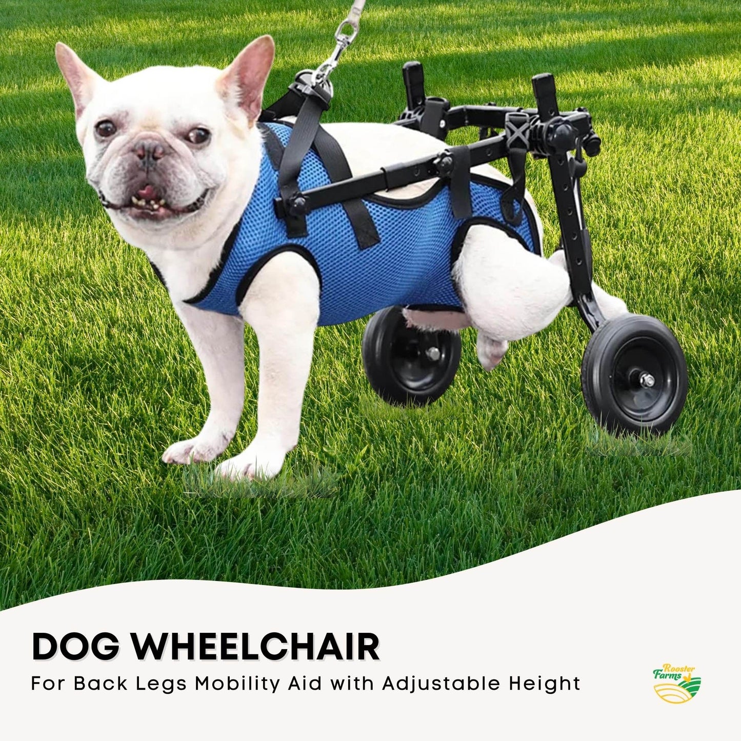 Dog Wheelchair - back leg support harness
