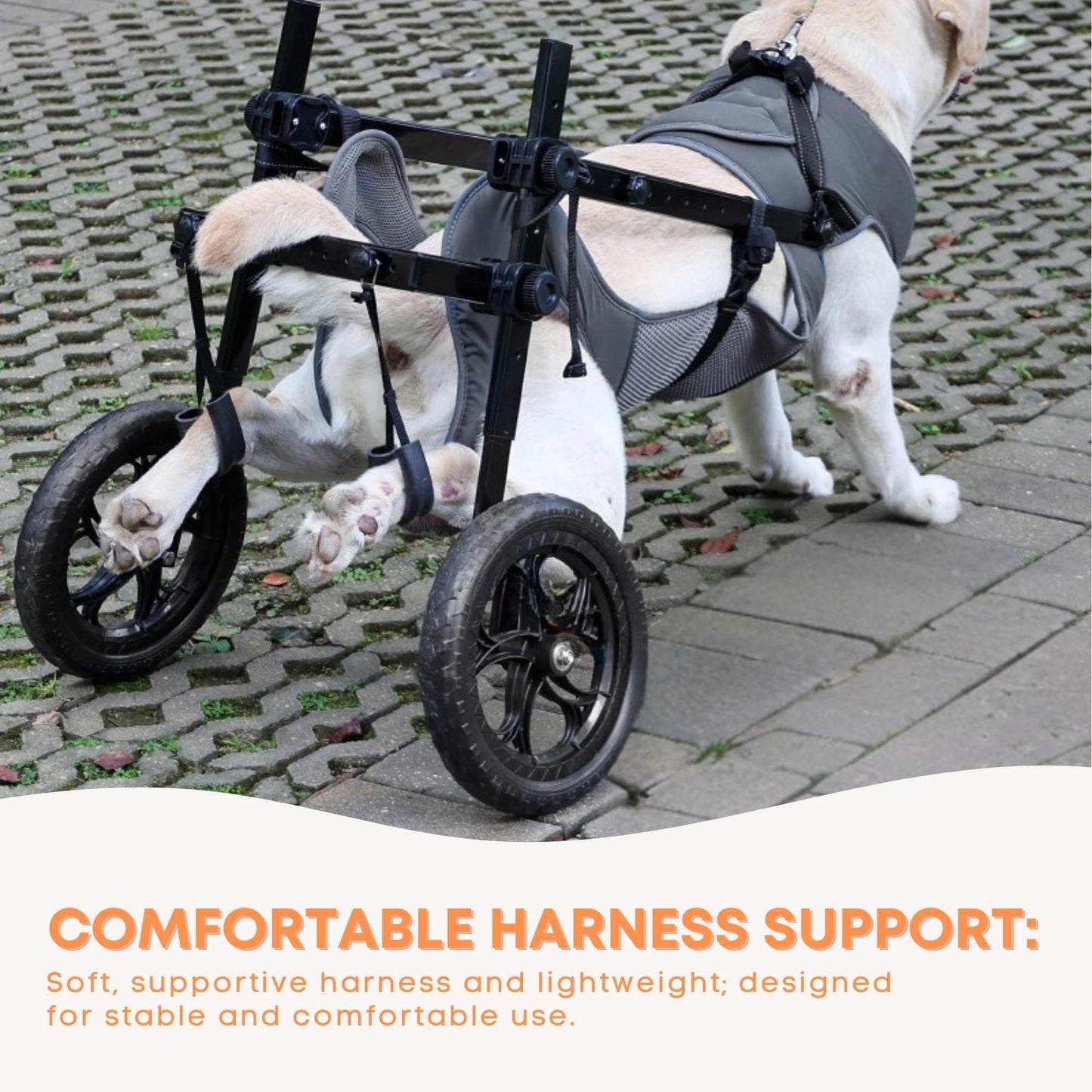 Rooster Farms Large Dog Wheelchair XL Harness - Adjustable Back Leg Aid