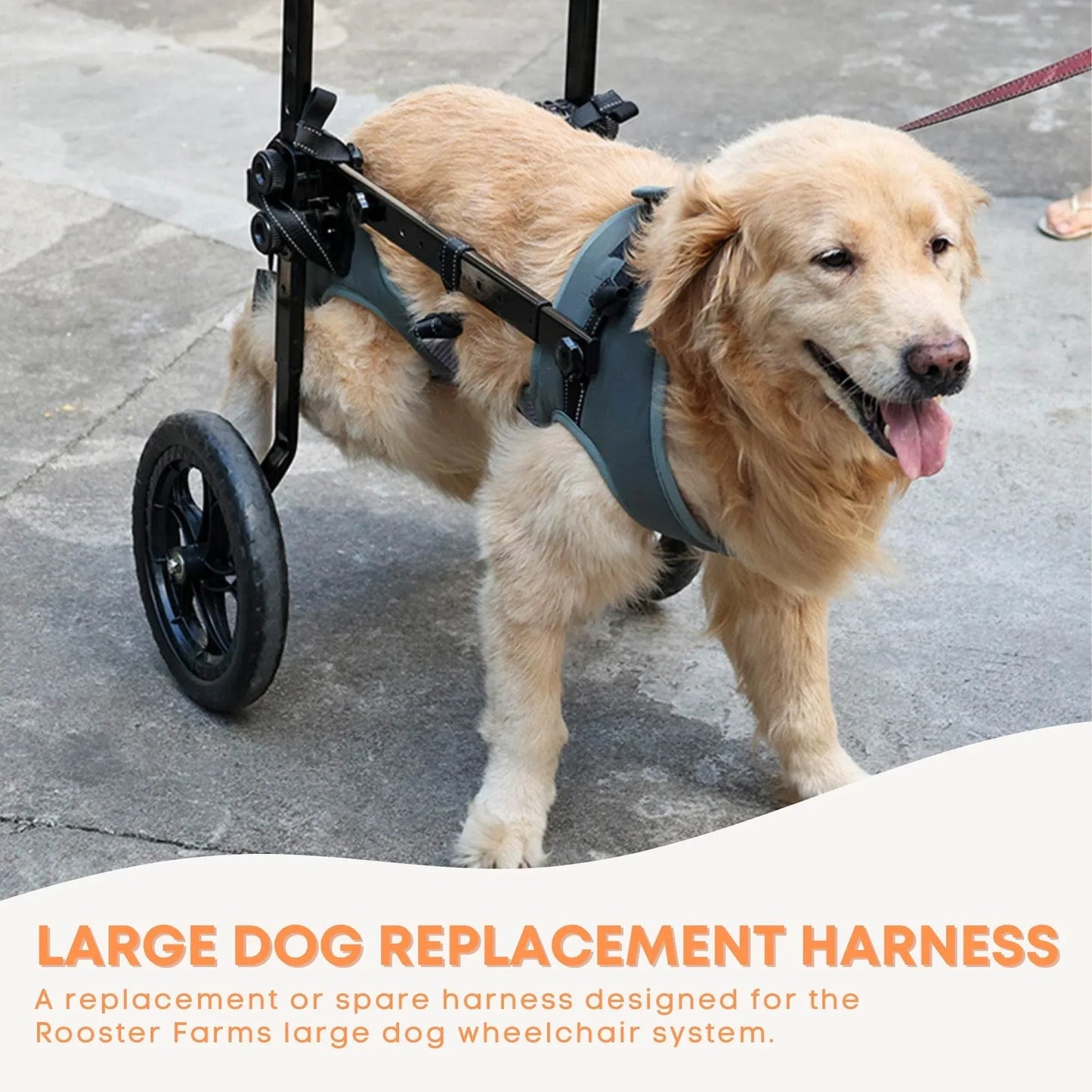 Replacement Harness for Dog Wheelchair