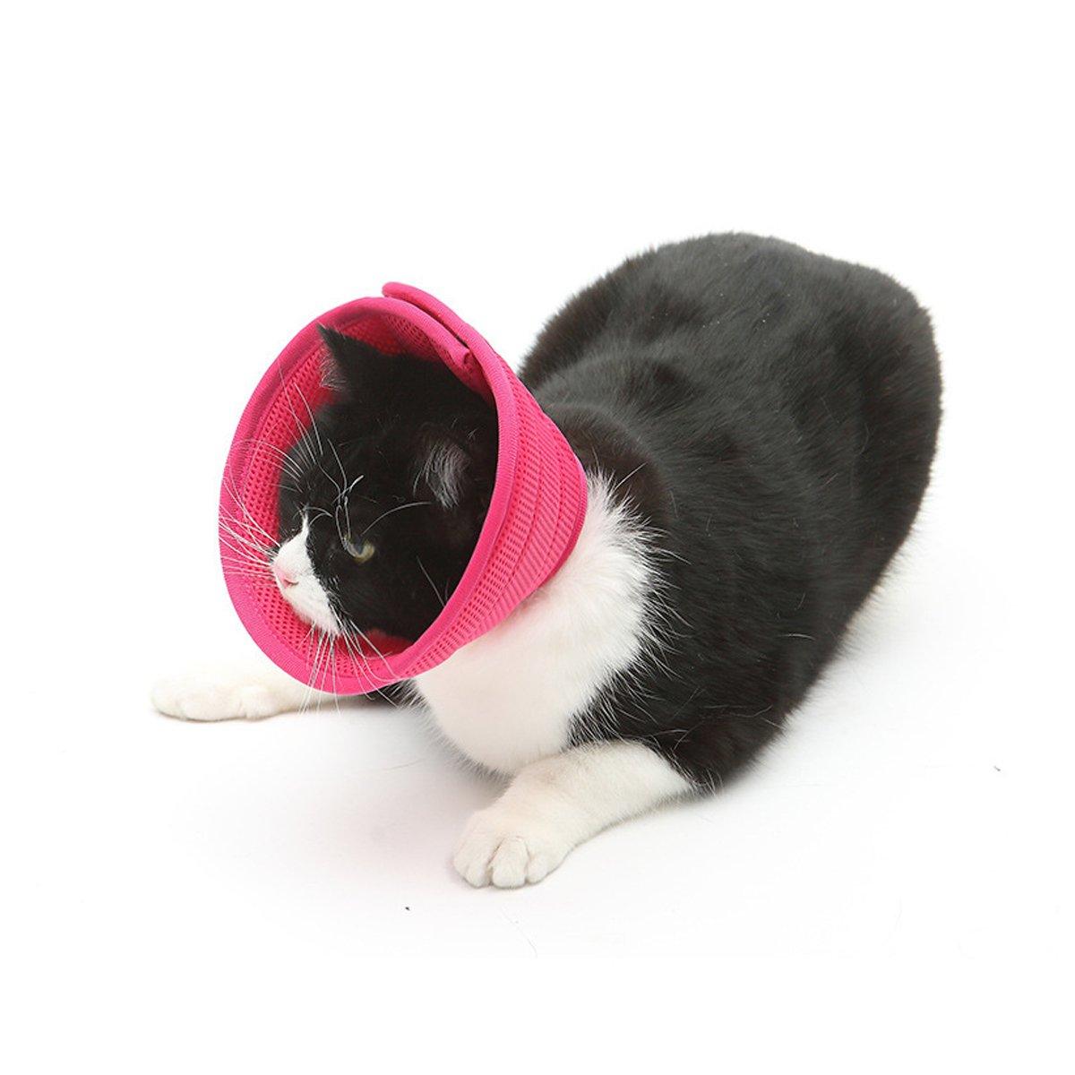 Fabric Elizabethan collar for dogs