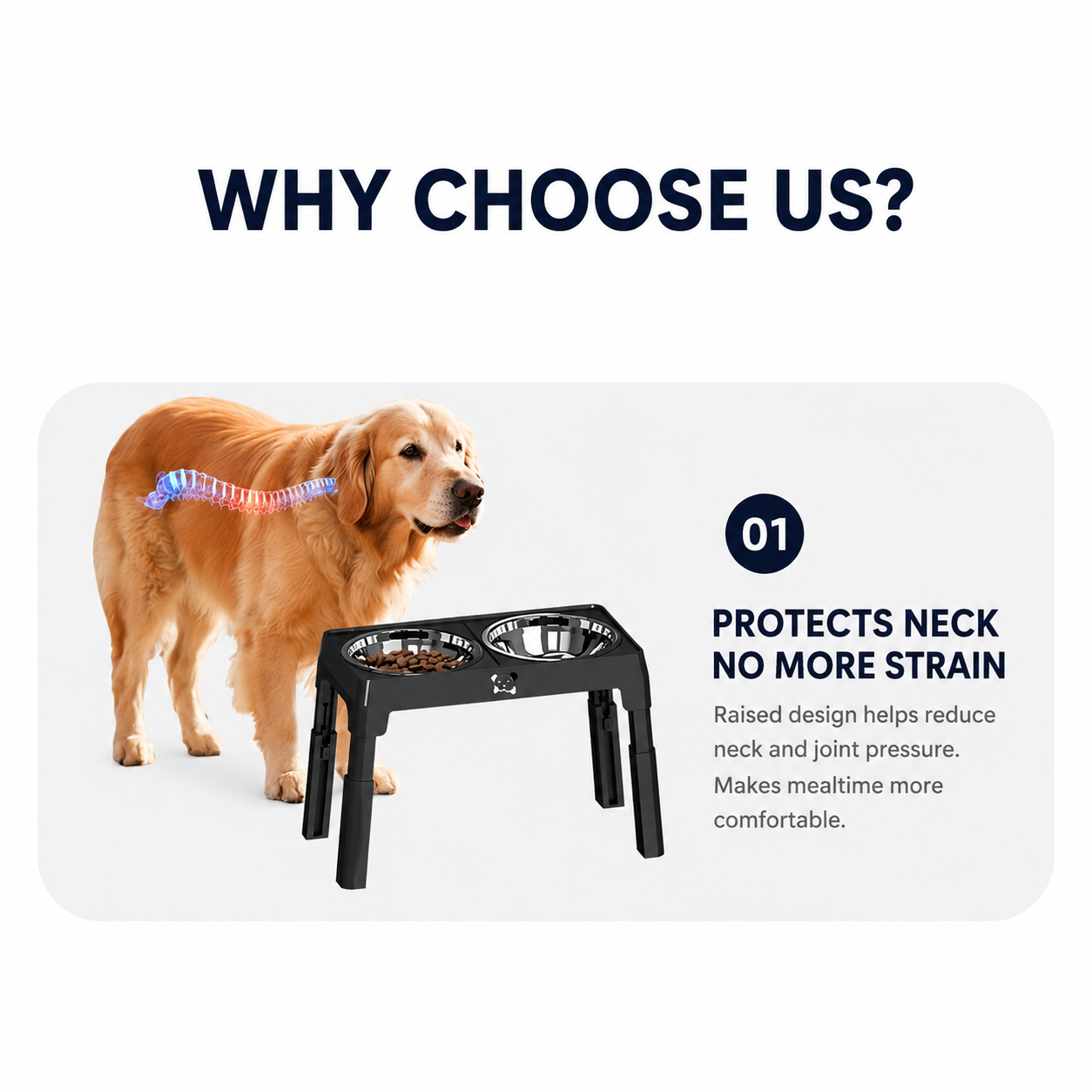 Adjustable Elevated Dog Bowl Stand with Stainless Steel Double Bowls