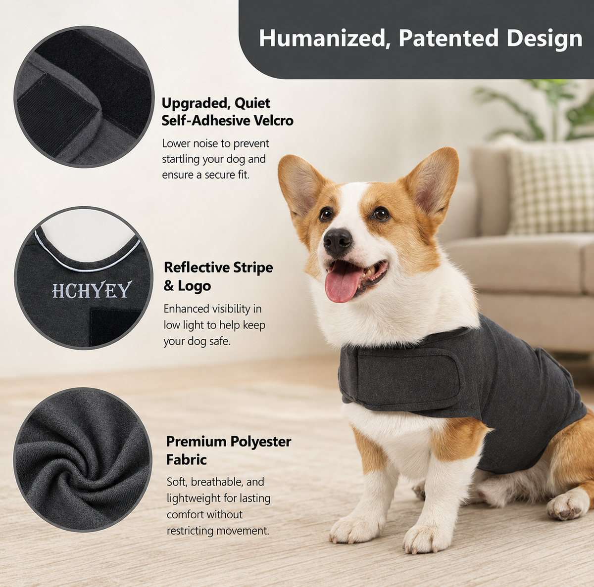 corgi wearing a calming vest promoting features. 
