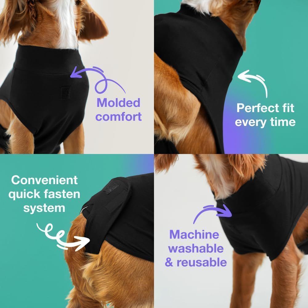 Dog wearing a black garment with text highlighting features on a teal and white background