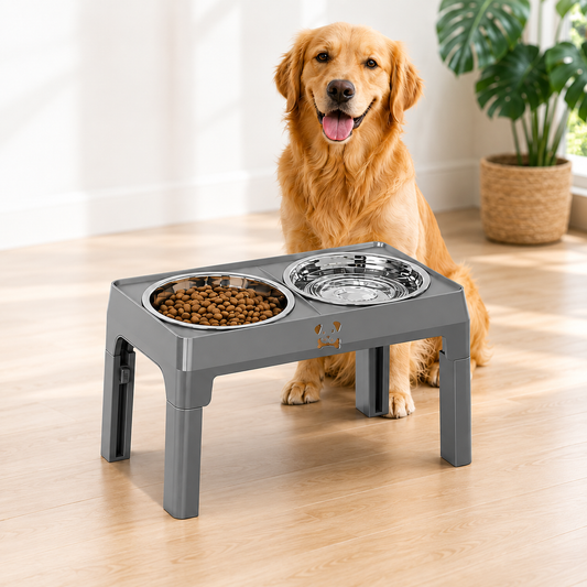 golden retriever with a raised food and water bowl