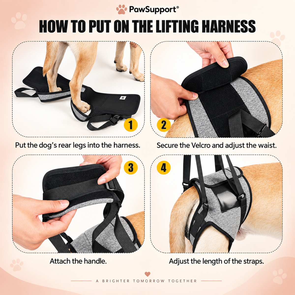 Instructional graphic for PawSupport dog lifting harness showing four numbered steps: putting the harness on the dog's legs, securing the waist with Velcro, attaching the handle, and adjusting the strap length. The harness is black with gray padding, shown on a dog's hind legs against a light beige background.