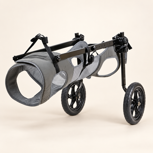 large dog wheelchair