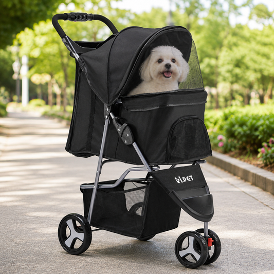 maltese dog in stroller