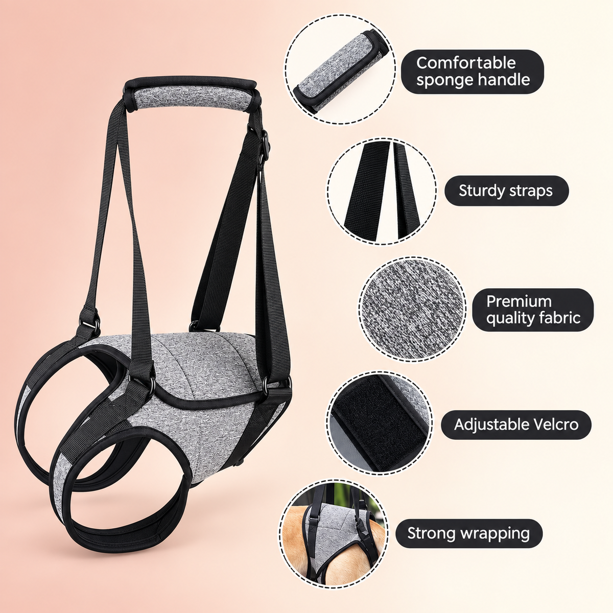 showing features of dog sling for hind legs
