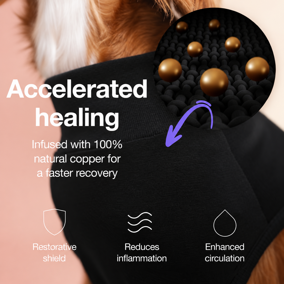 A close-up of a dog wearing a black healing collar or garment, with marketing text reading 'Accelerated healing' and an inset showing copper-colored beads on a black textured surface. Icons mention restorative shield, reduced inflammation, and enhanced circulation.