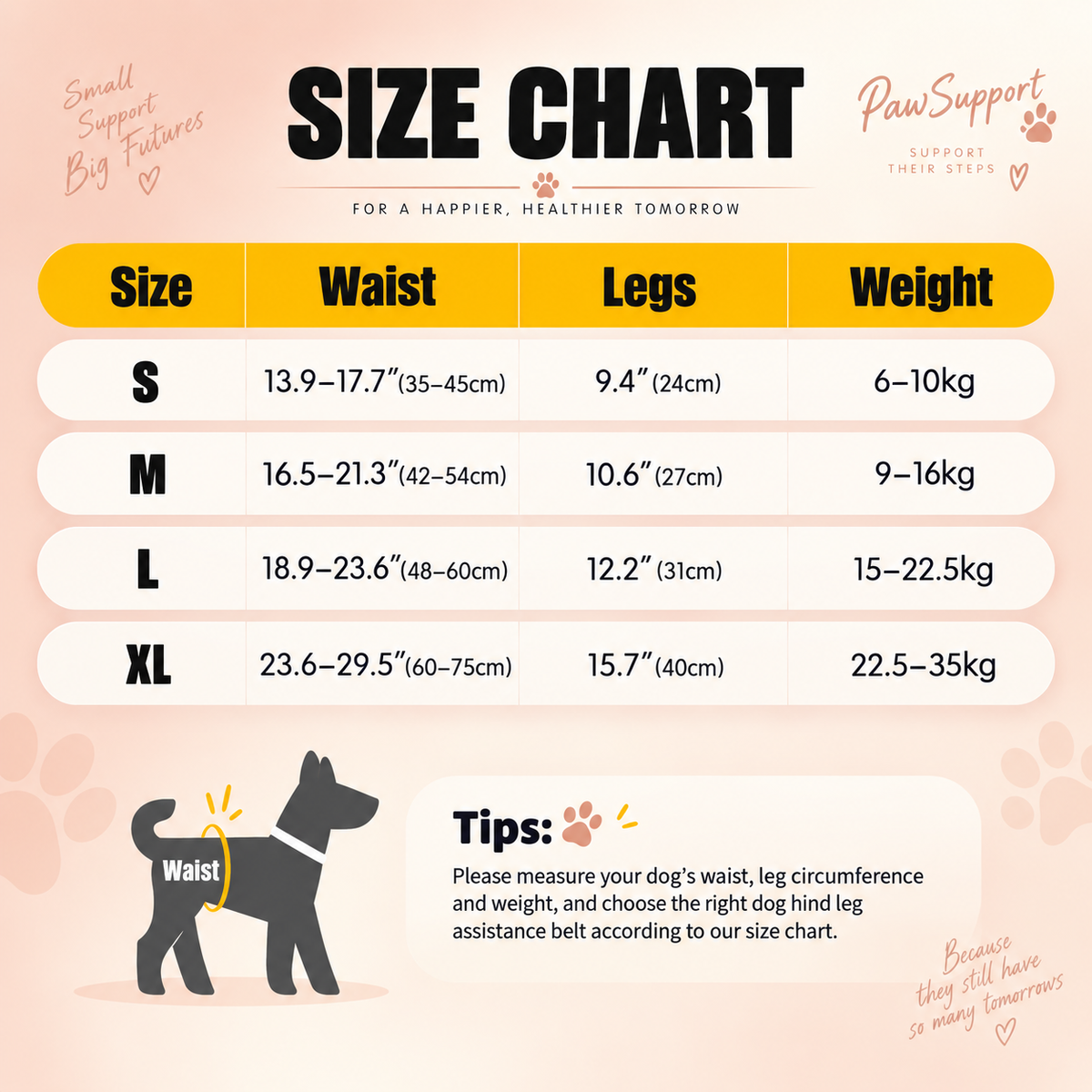 A dog size chart graphic with a table showing waist, legs, and weight measurements for sizes S, M, L, and XL. The chart includes a small dog silhouette labeled 'Waist' and tips for measuring the dog's waist, leg circumference, and weight.