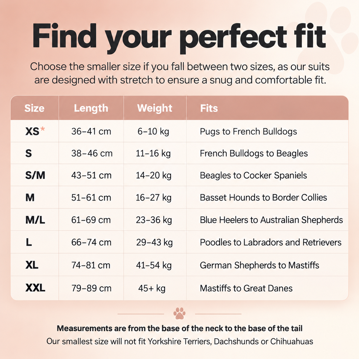 A size guide infographic for dog suits, titled 'Find your perfect fit'. It features a table listing sizes from XS to XXL, with corresponding length, weight, and breed suitability guidelines.